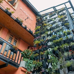 Masaya Auberge de jeunesse